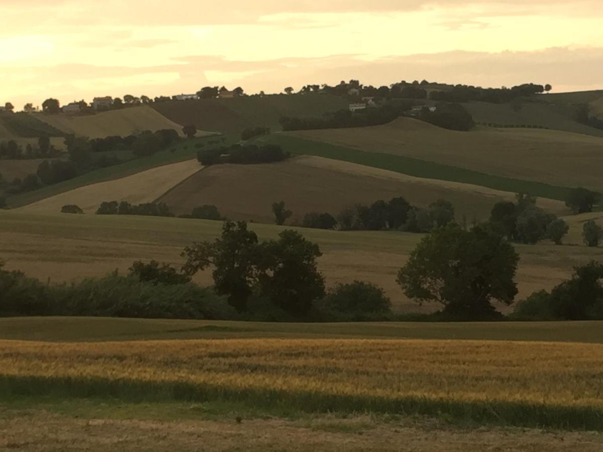 Il Giardino Nella Valle Belvedere Ostrense المظهر الخارجي الصورة