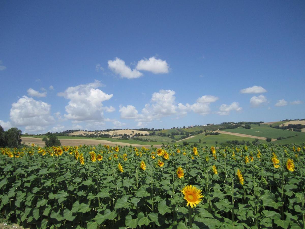 Il Giardino Nella Valle Belvedere Ostrense المظهر الخارجي الصورة