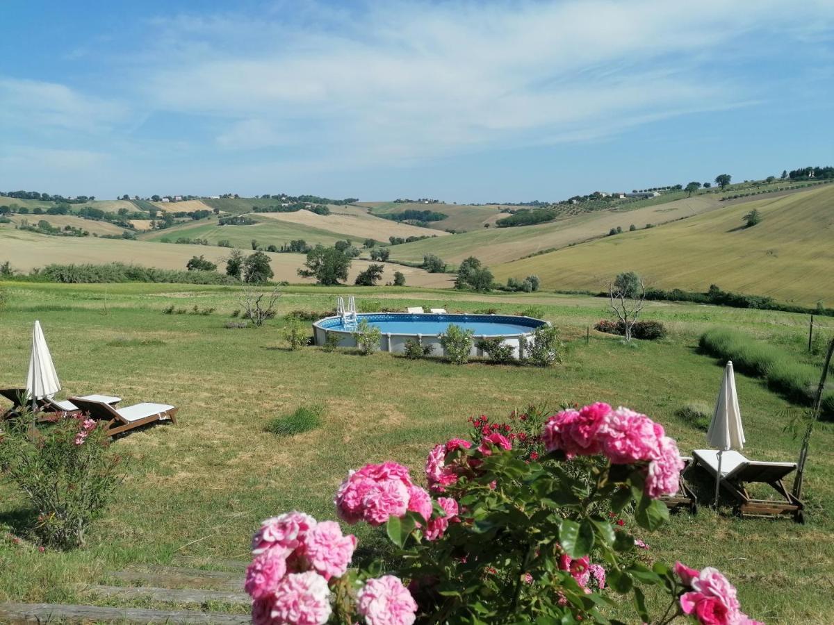 Il Giardino Nella Valle Belvedere Ostrense المظهر الخارجي الصورة