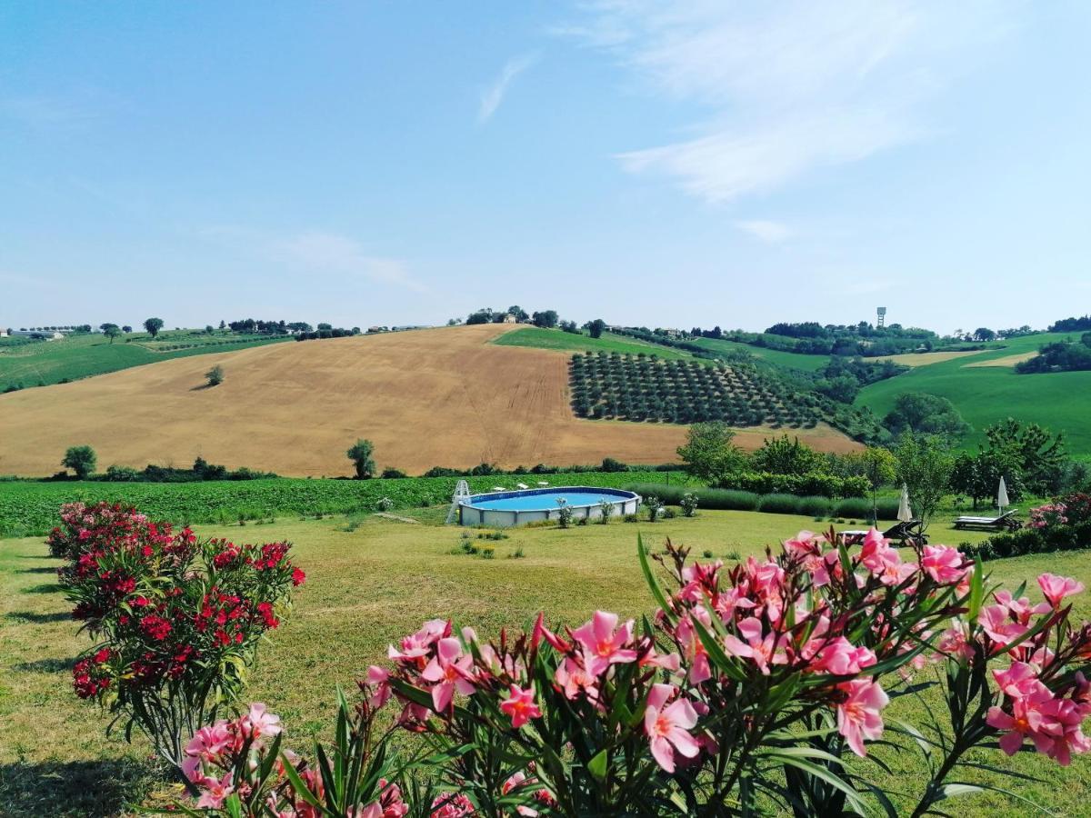 Il Giardino Nella Valle Belvedere Ostrense المظهر الخارجي الصورة