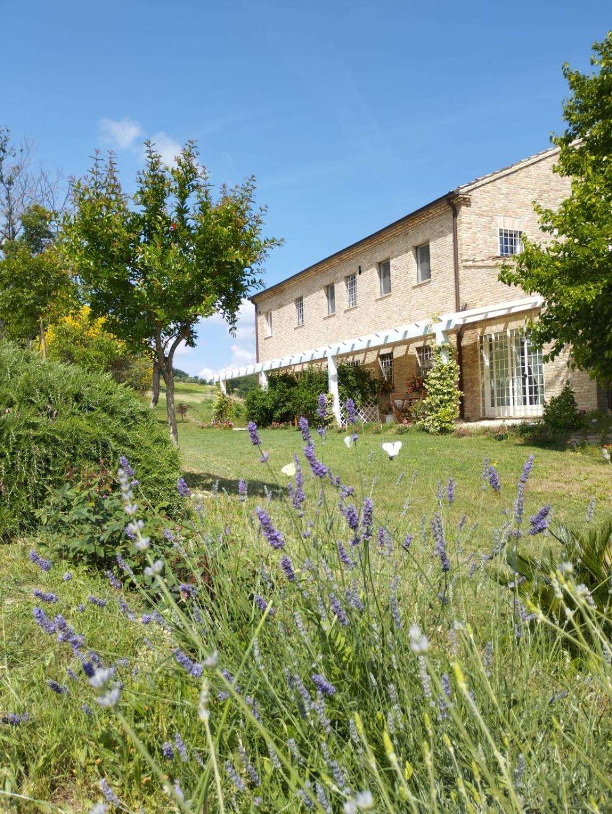 Il Giardino Nella Valle Belvedere Ostrense الغرفة الصورة