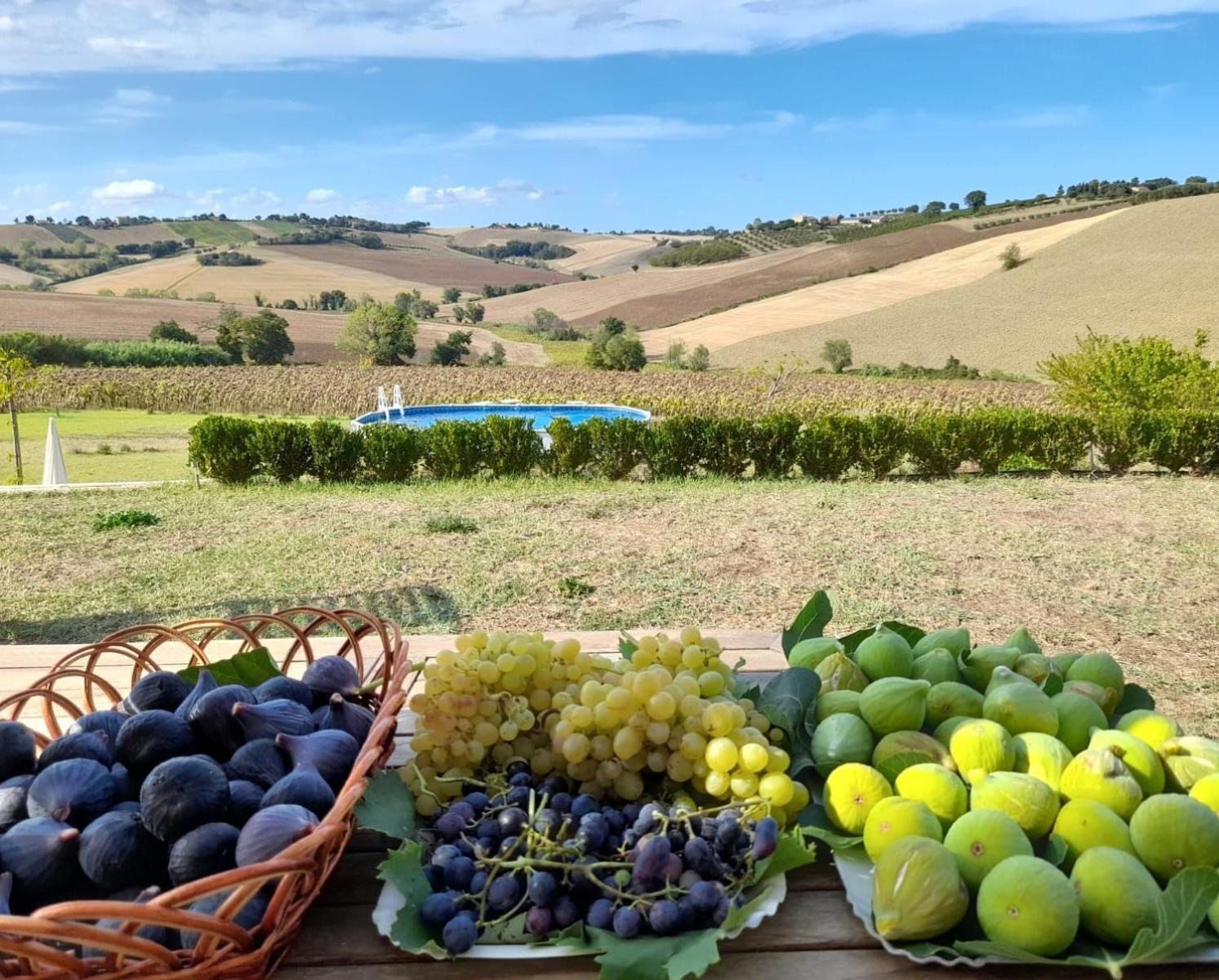 Il Giardino Nella Valle Belvedere Ostrense المظهر الخارجي الصورة