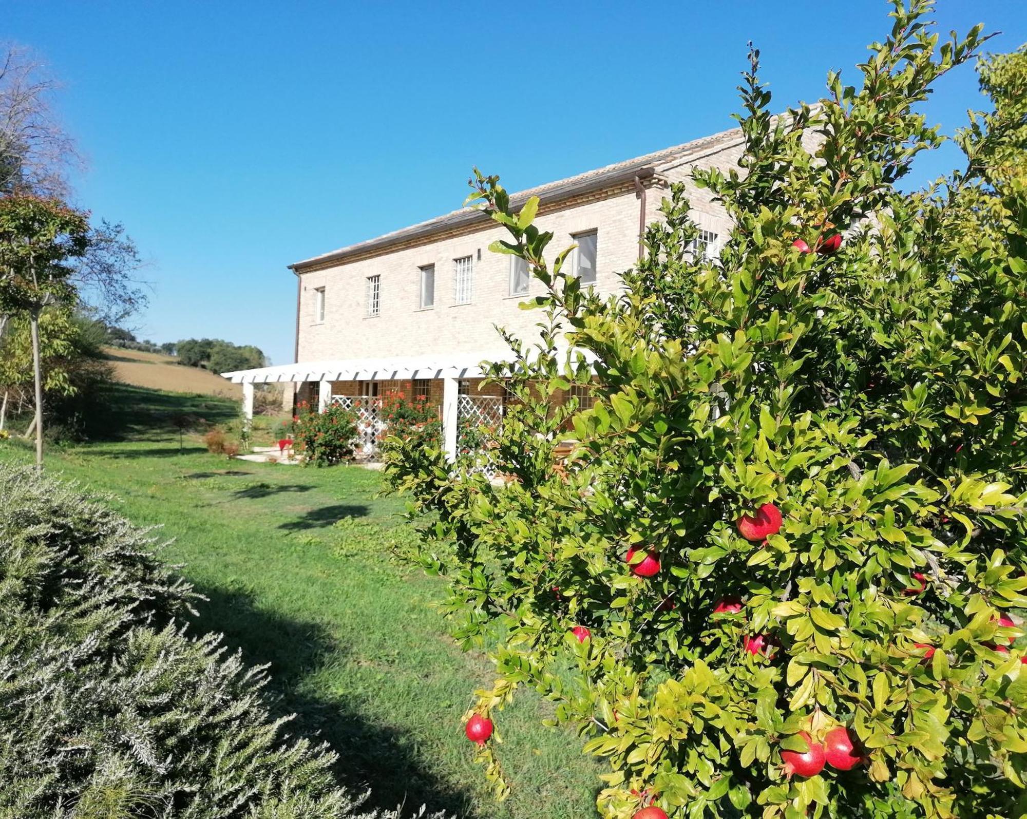 Il Giardino Nella Valle Belvedere Ostrense المظهر الخارجي الصورة