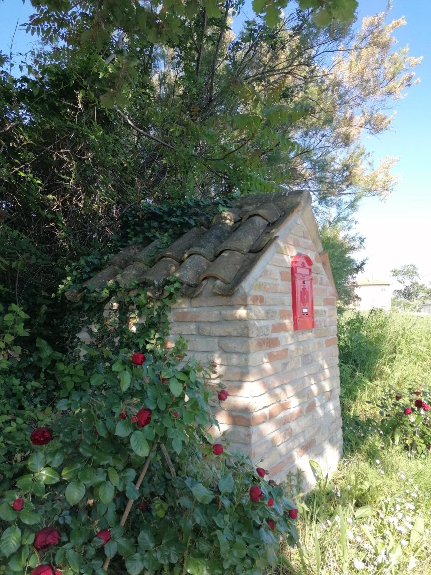 Il Giardino Nella Valle Belvedere Ostrense المظهر الخارجي الصورة
