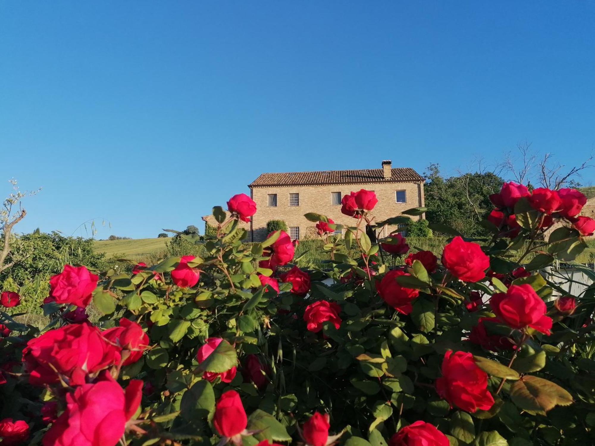 Il Giardino Nella Valle Belvedere Ostrense المظهر الخارجي الصورة